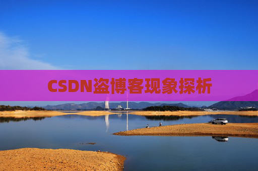 CSDN盗博客现象探析